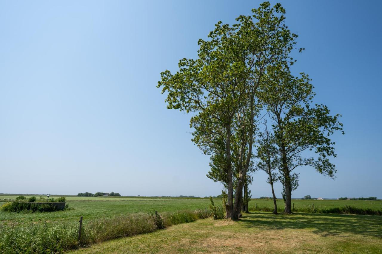 Johanneshoeve - De Mooiste Plek Op Texel Den Hoorn  Zewnętrze zdjęcie