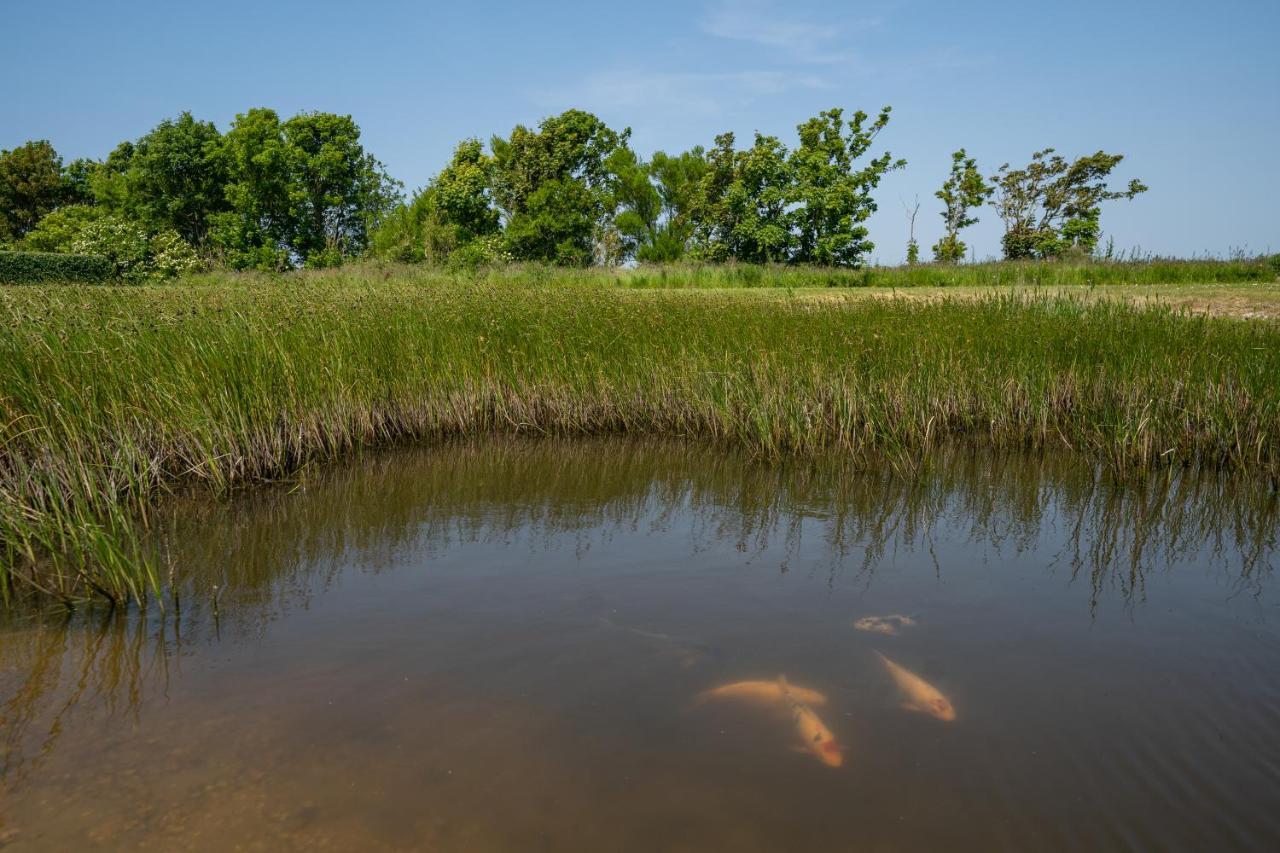 Johanneshoeve - De Mooiste Plek Op Texel Den Hoorn  Zewnętrze zdjęcie